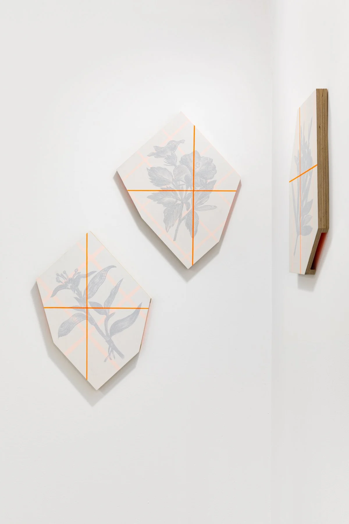 _Y5A1405- screen size.jpg