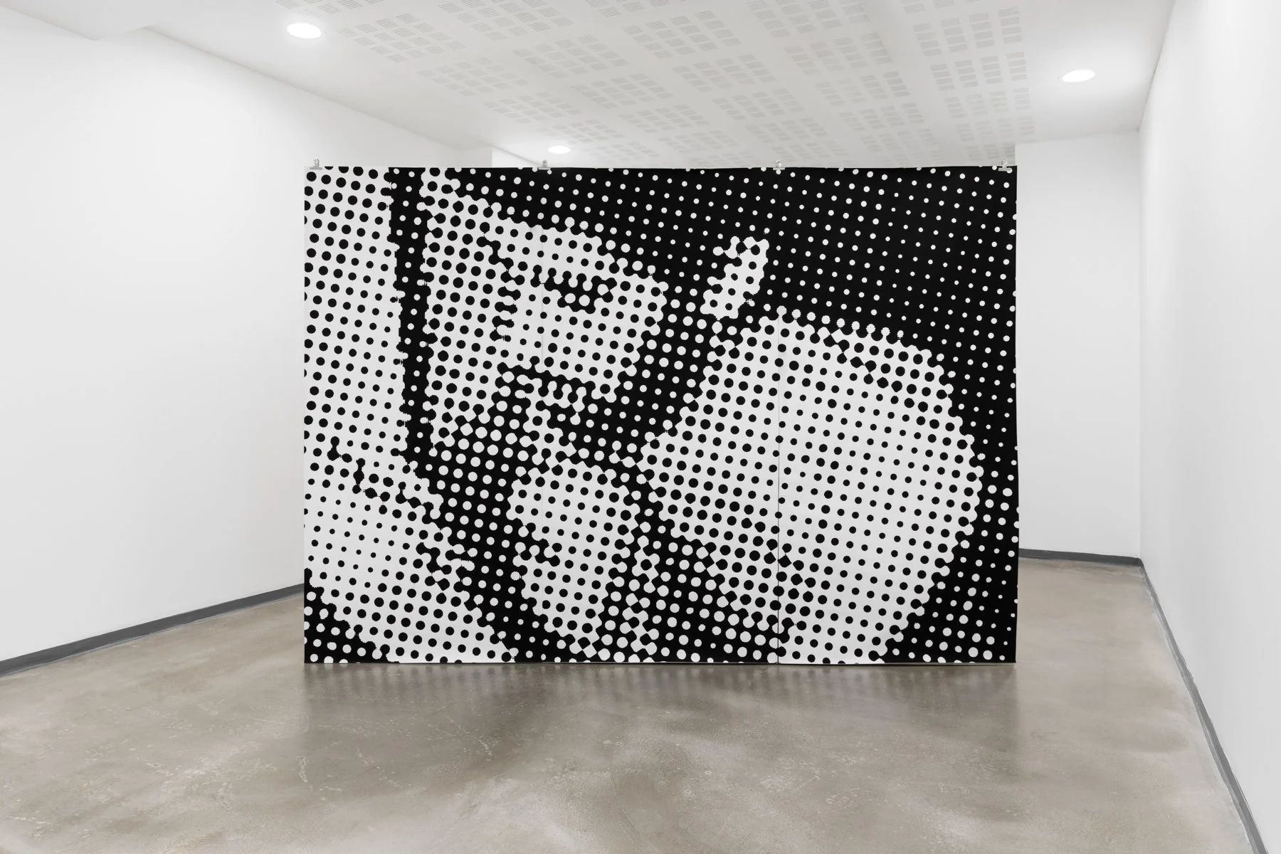 _Y5A1521- screen size.jpg