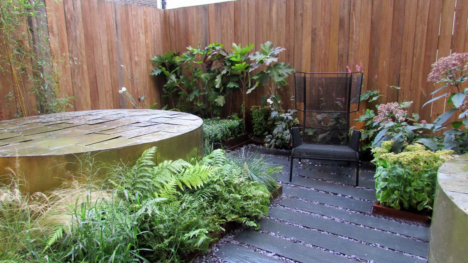 backyard.jpg