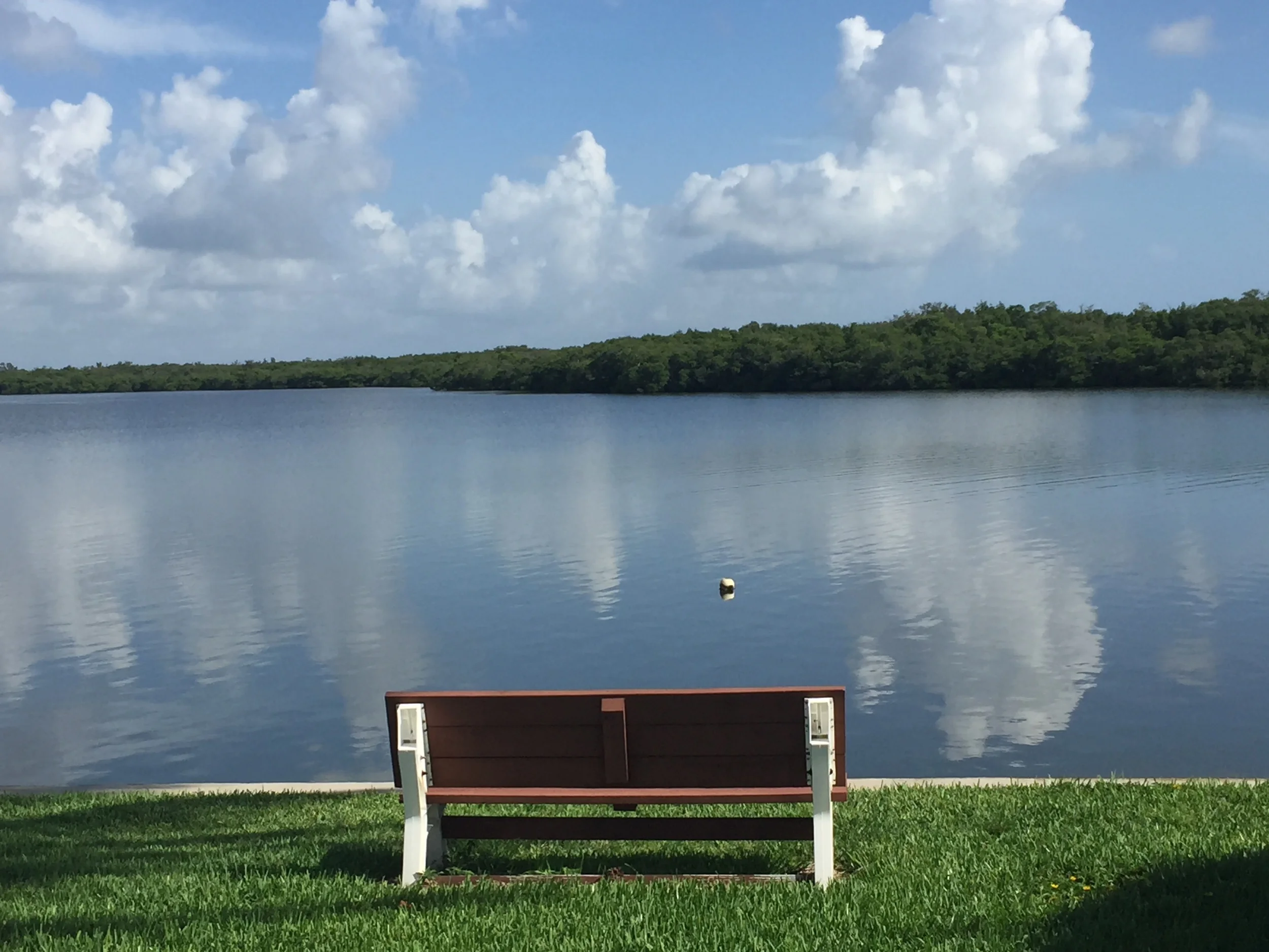 IMG_Causeway-Bench.JPG