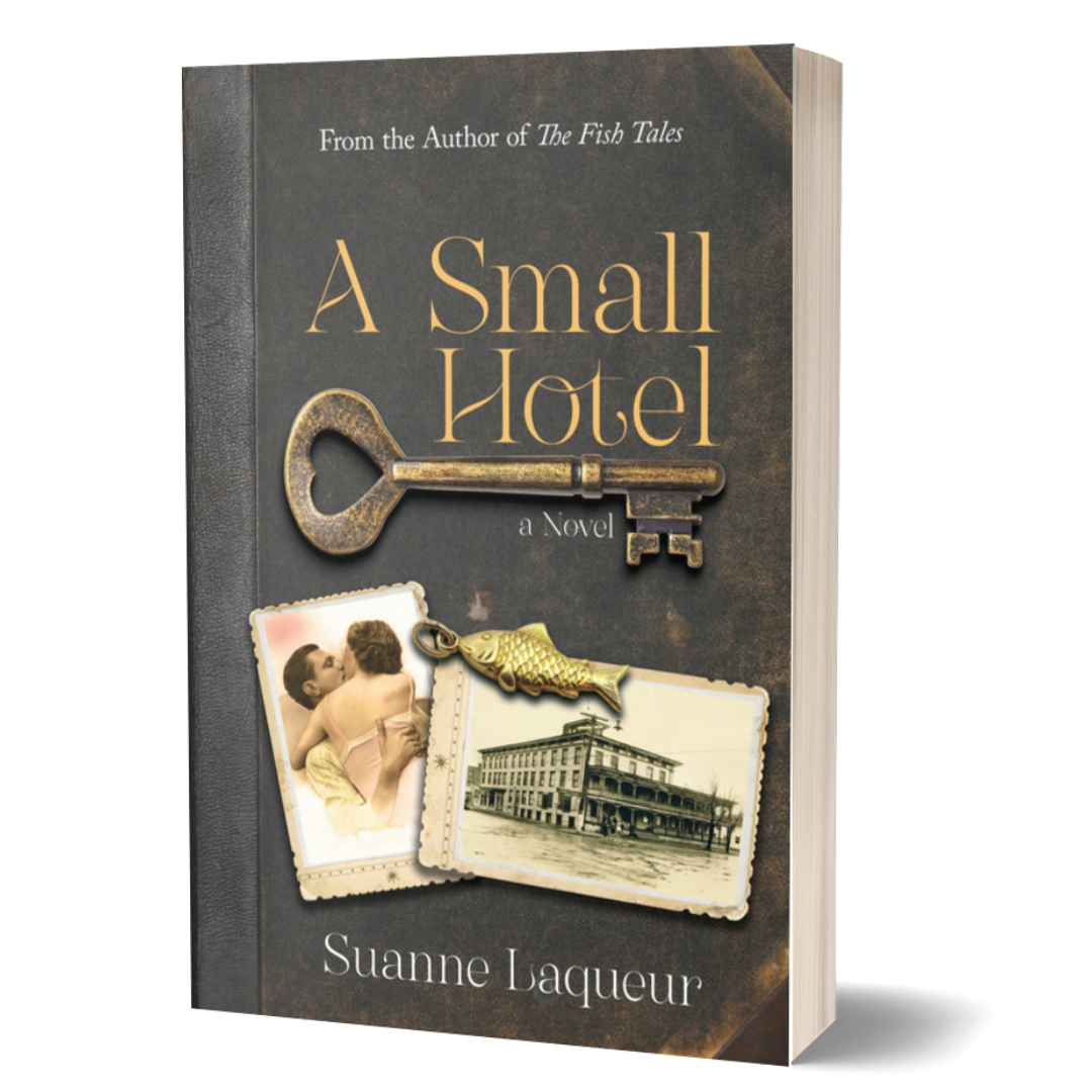 A Small Hotel book cover by Suanne Laqueur