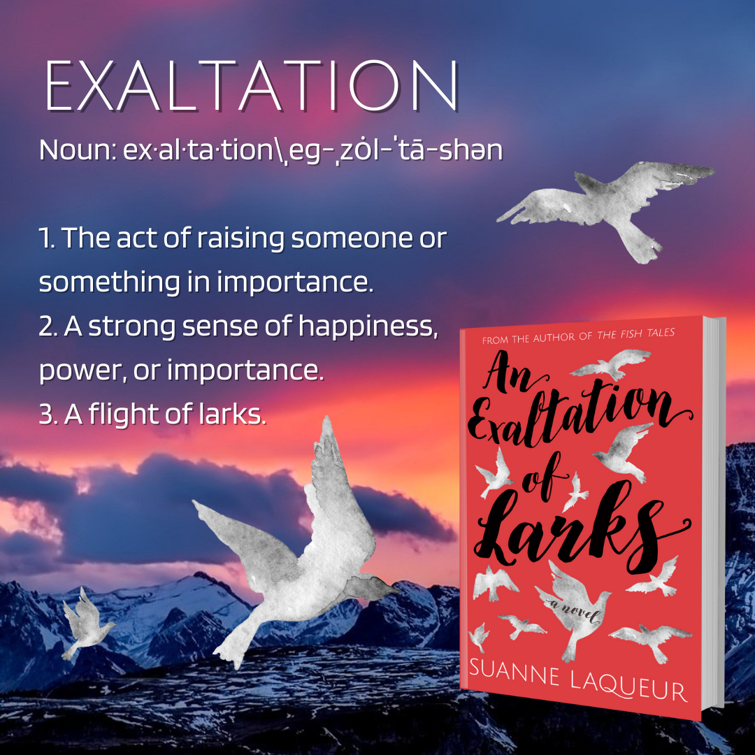 An Exaltation of Larks book cover by Suanne Laqueur