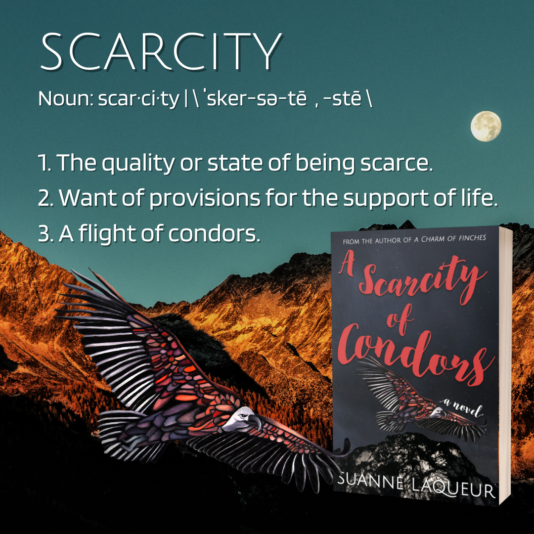 A Scarcity of Condors book cover by Suanne Laqueur