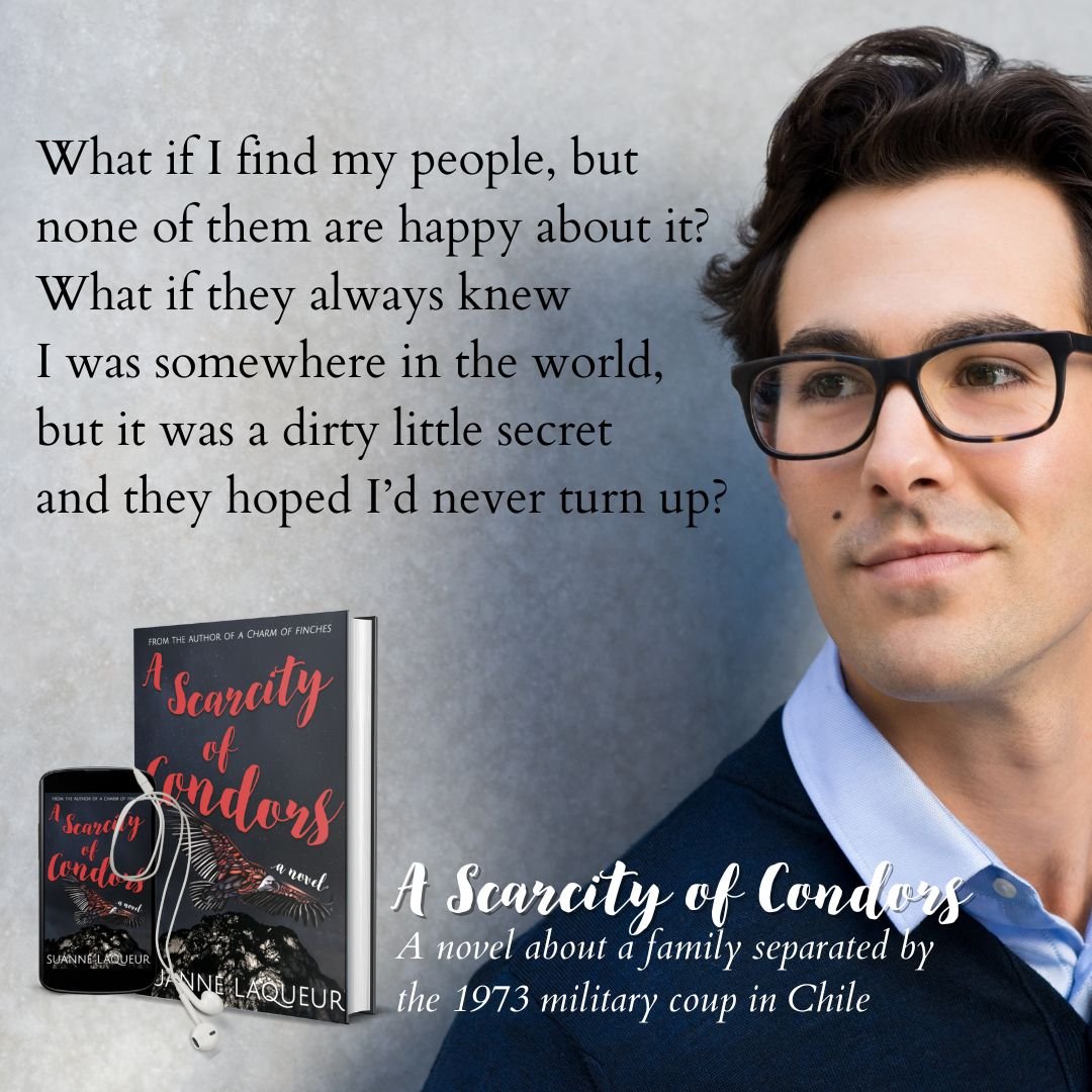 What if I go looking.jpg