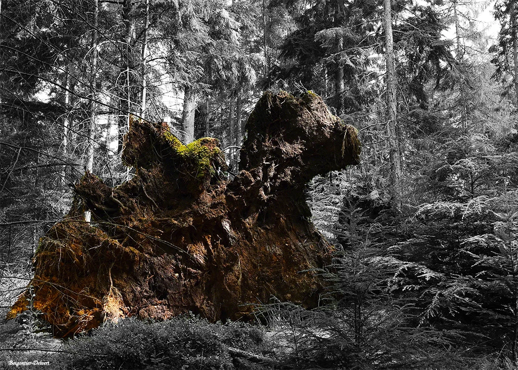 Sphinx des Cosses