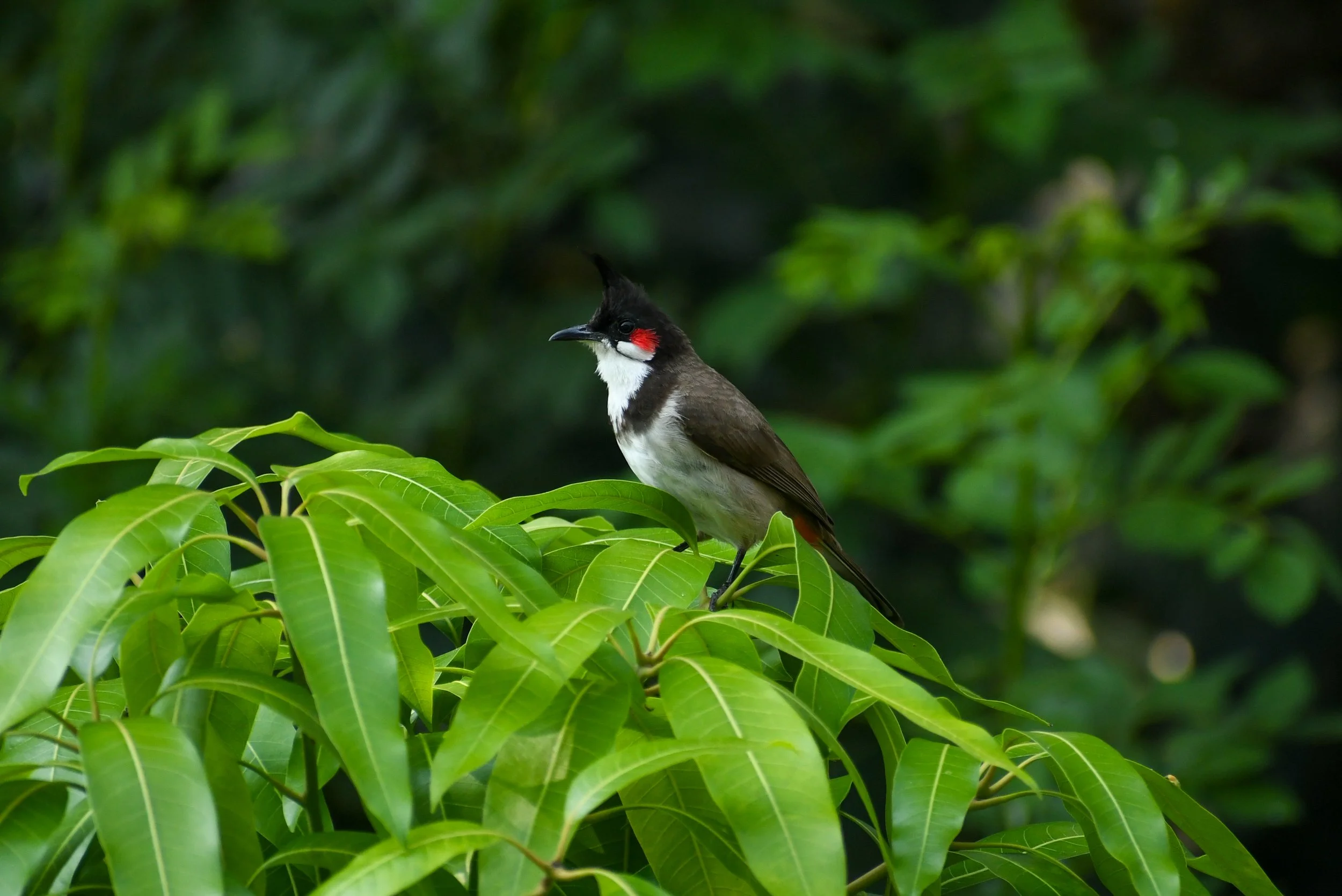 DSC_0755.jpg