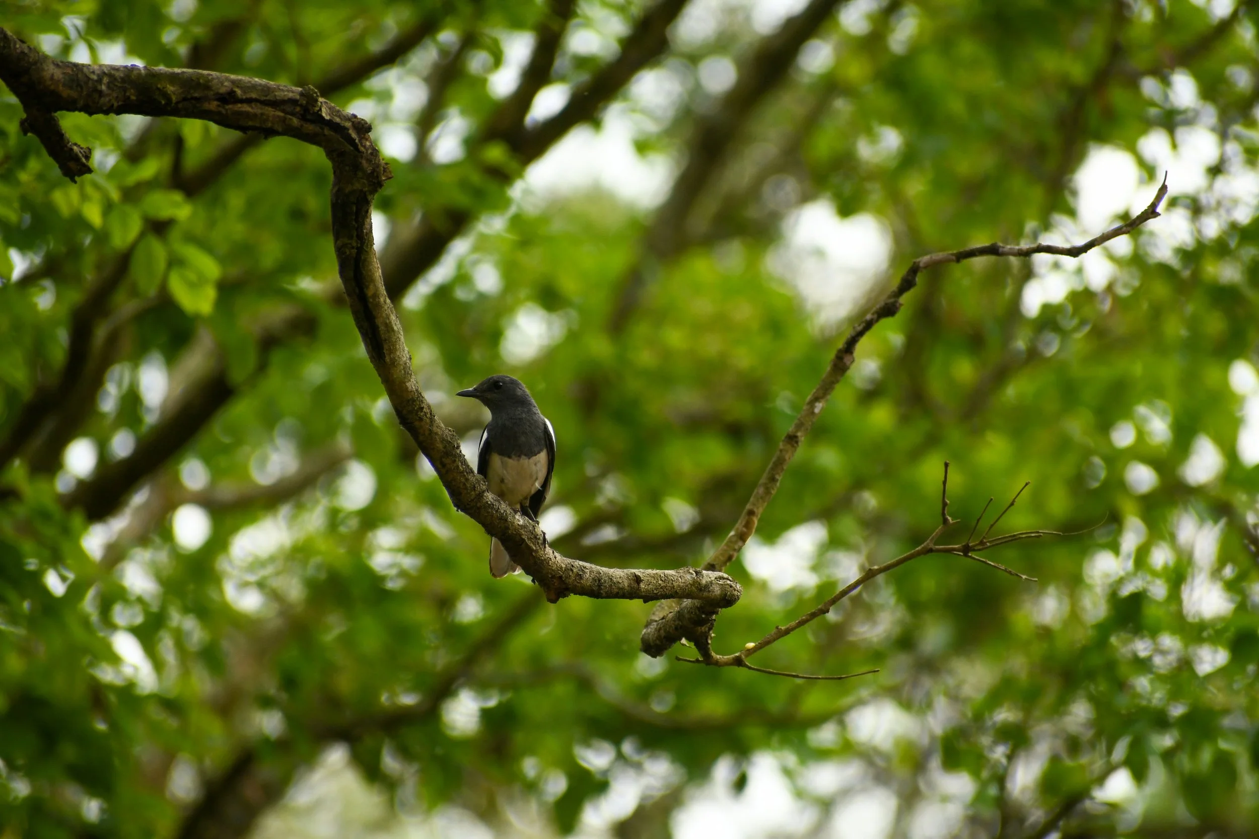 DSC_0110.jpg