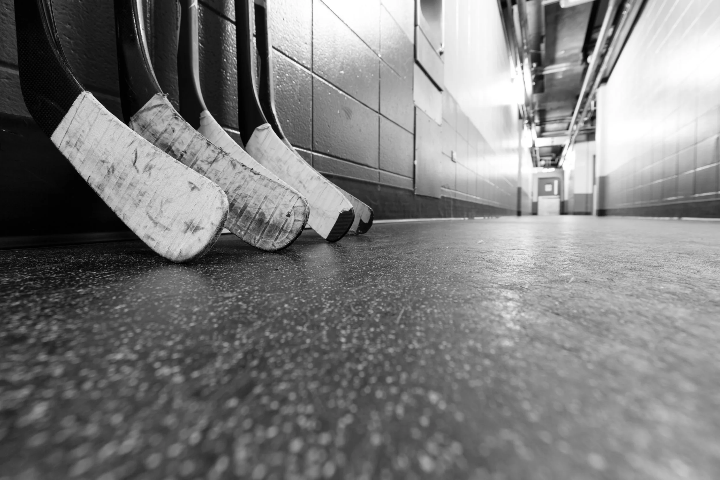 Lace Up Your Skates with a 2018-2019 Hockey Preview