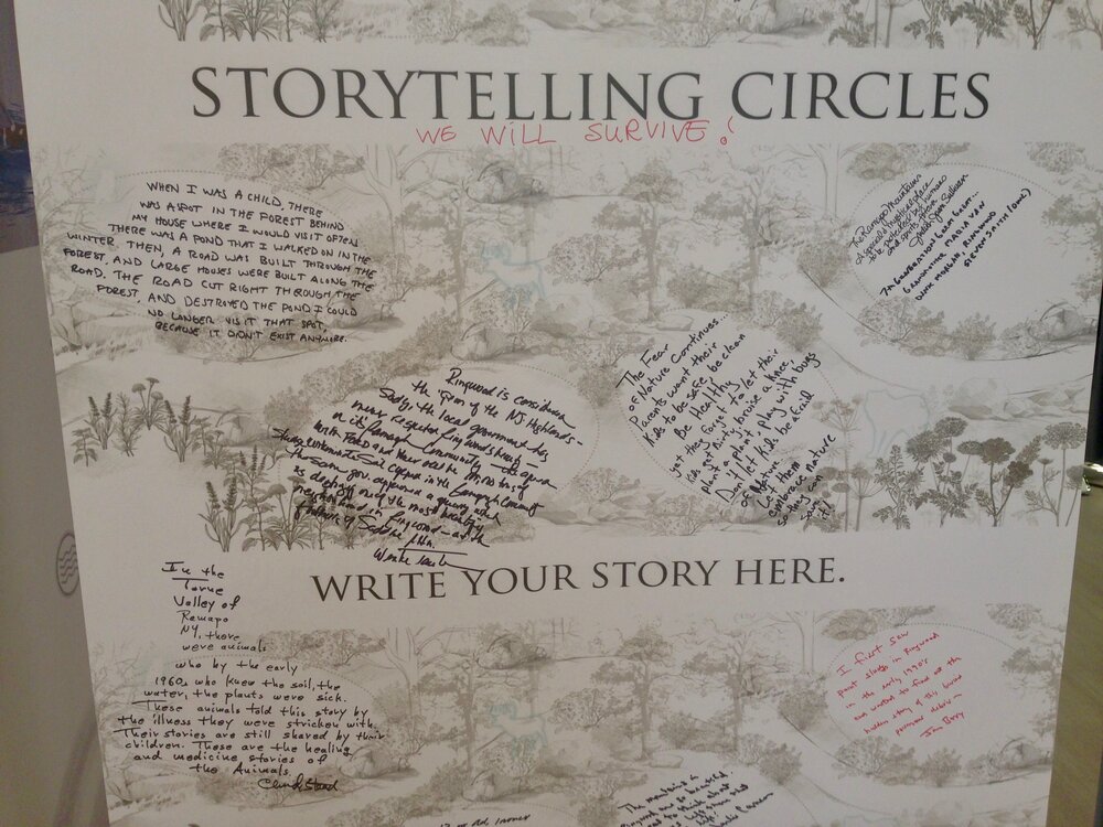 Story-Circles-Full.jpg
