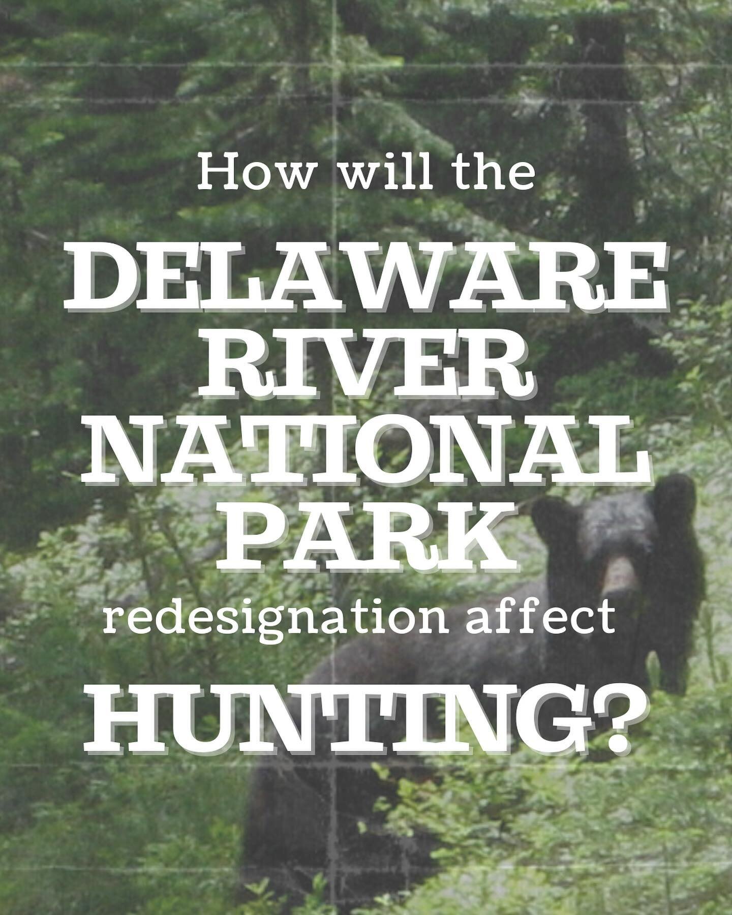 What will the impact of national park designation be on hunting in the DWGRNA ?