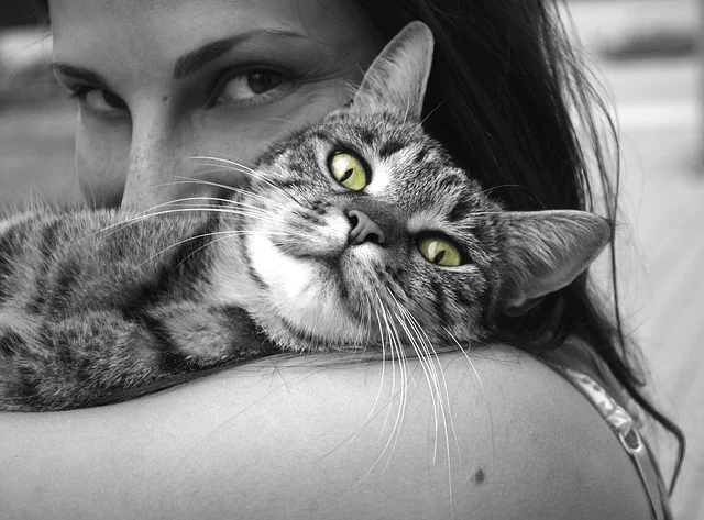 “Sometimes a hug is all you need to make you feel better.” - Daily Quote