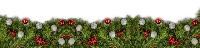 HolidayBorderGreenery.jpg