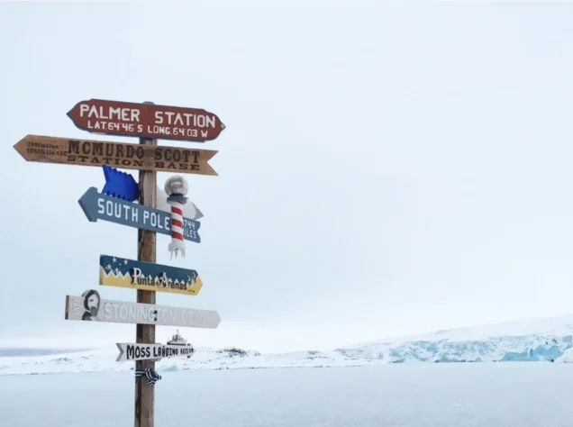 palmersign.jpg