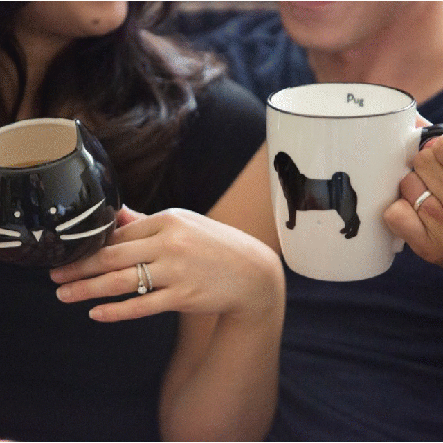 PetPicsBlog.gif