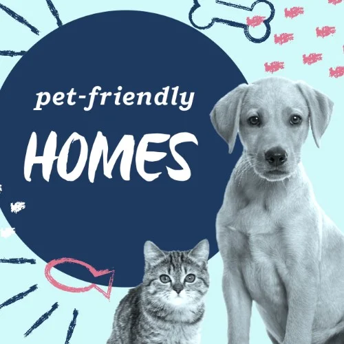 IG2852-All Pets FC Puppy SMS.jpg