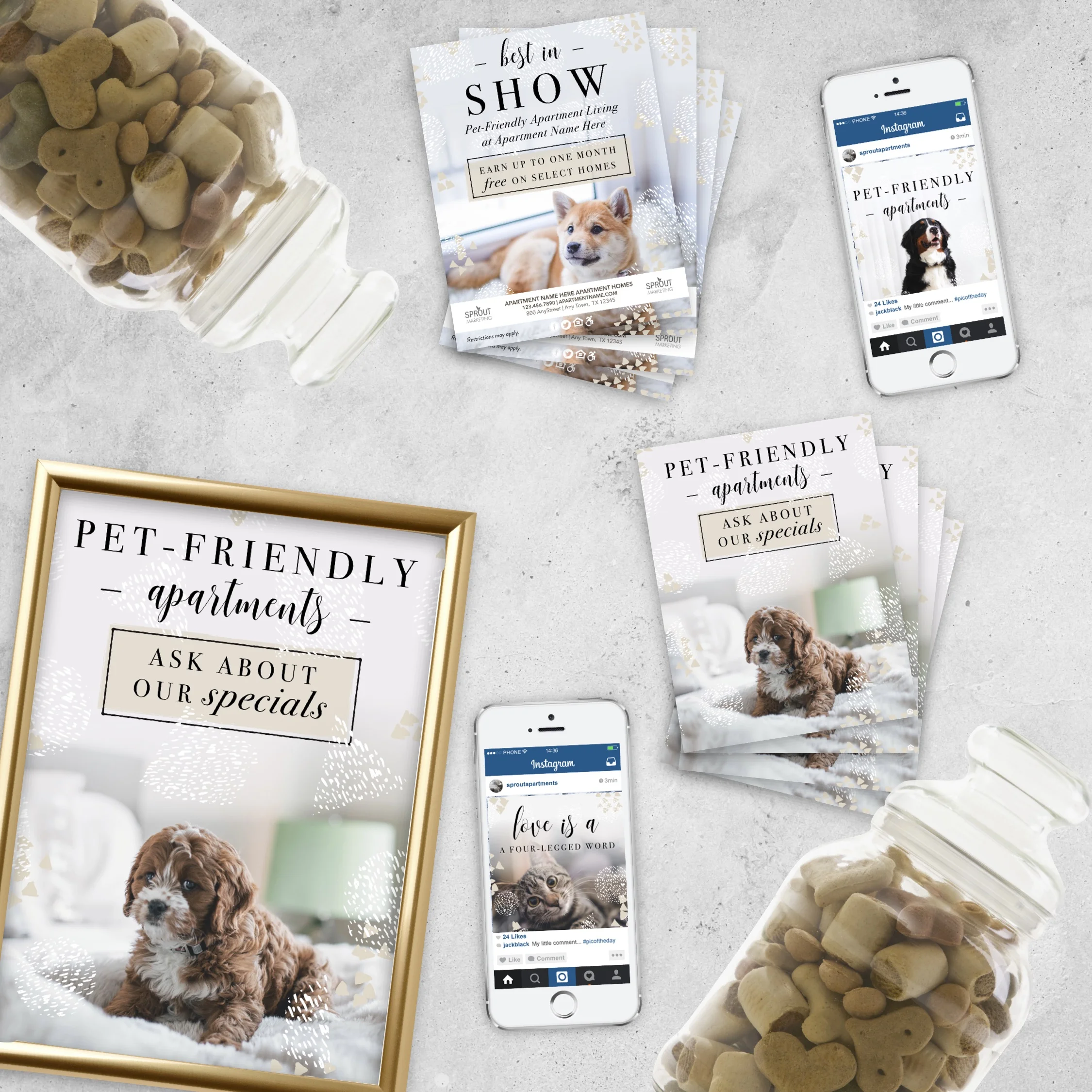 Pet Jar Outreach Mock.jpg