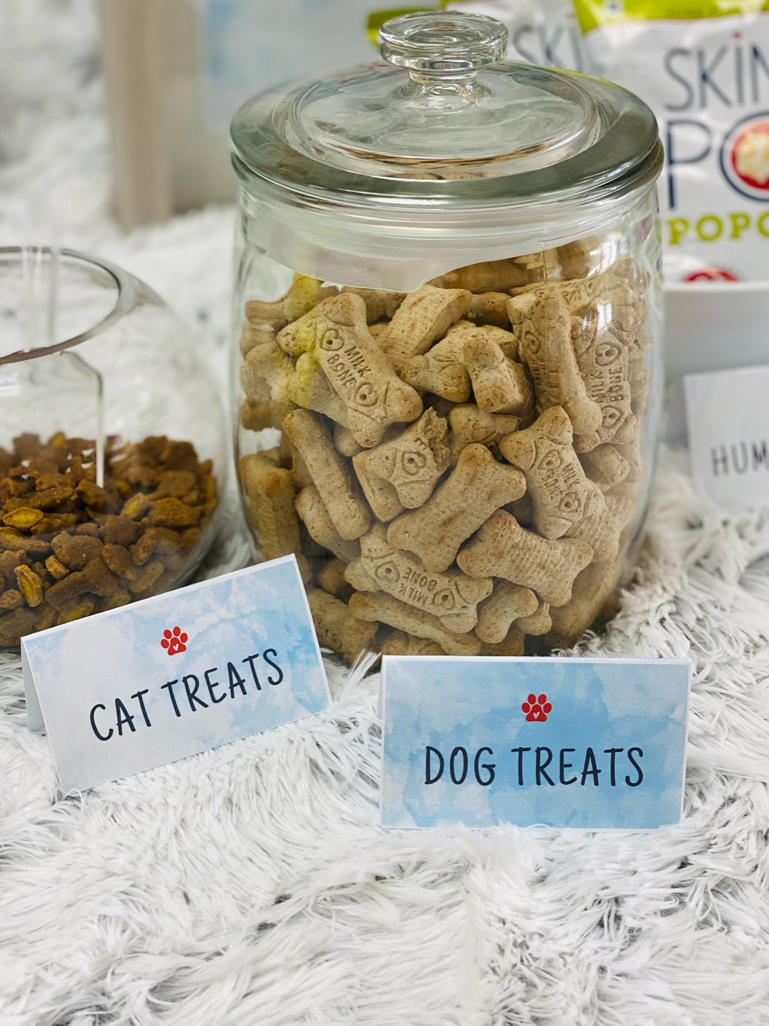 Paw Bar Treats for Apartments