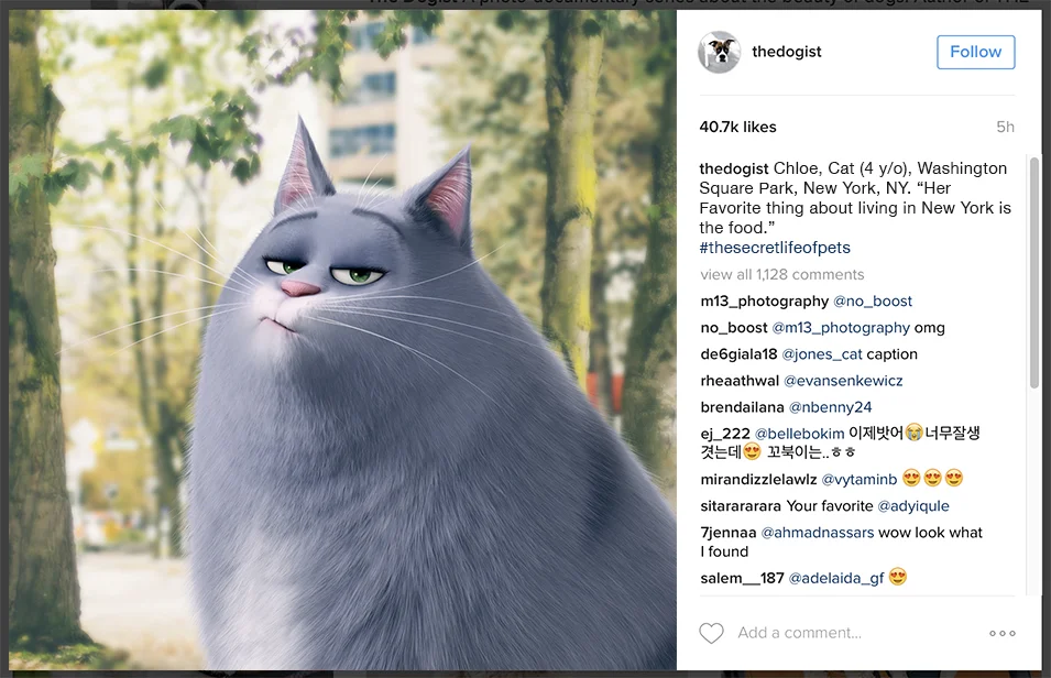 4. Dogist_post_mockup_Chloe.jpg