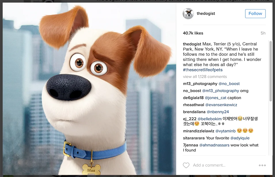 7. Dogist_post_mockup_Max.jpg