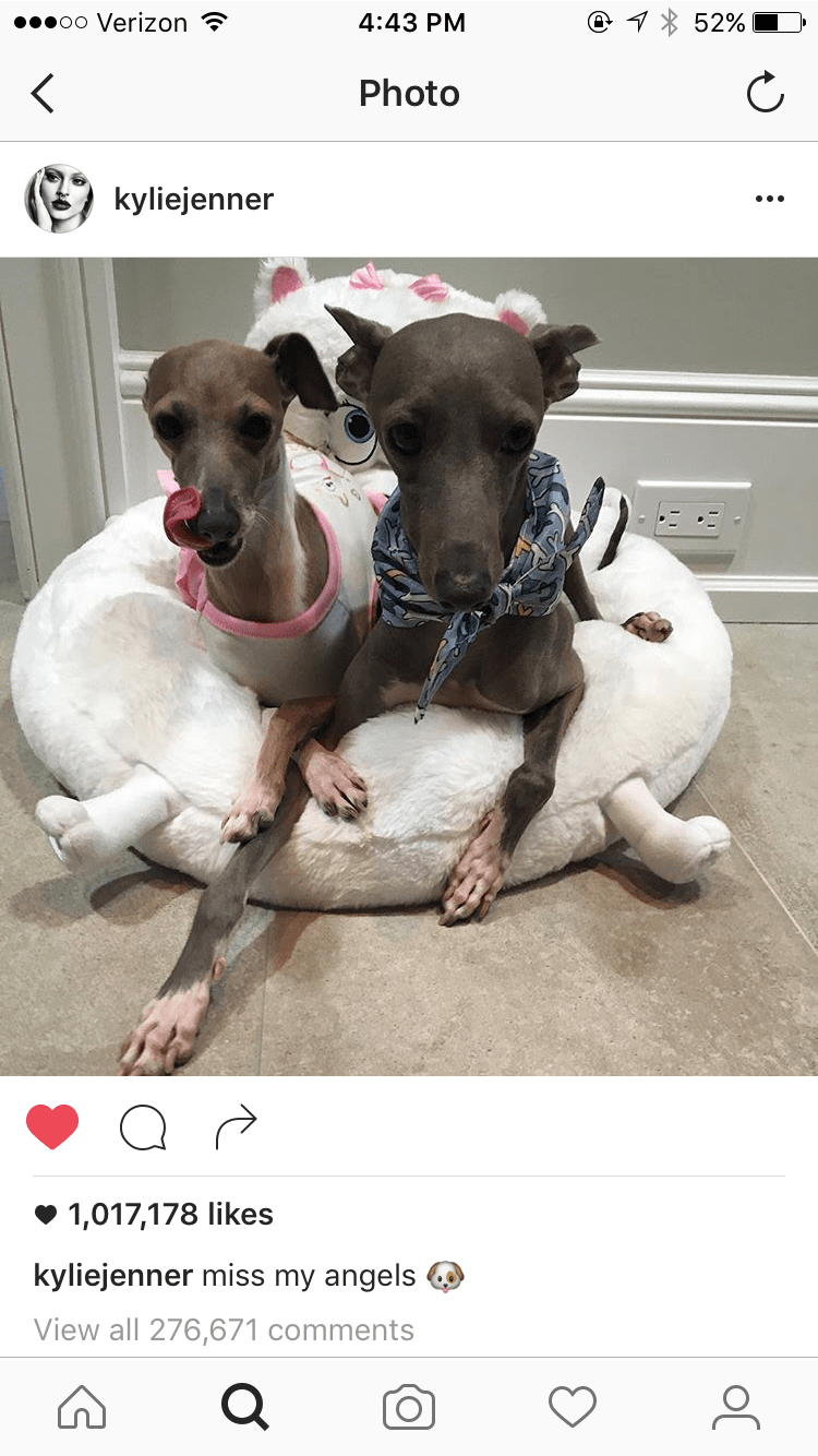 3. Kylie Instagram-min.PNG