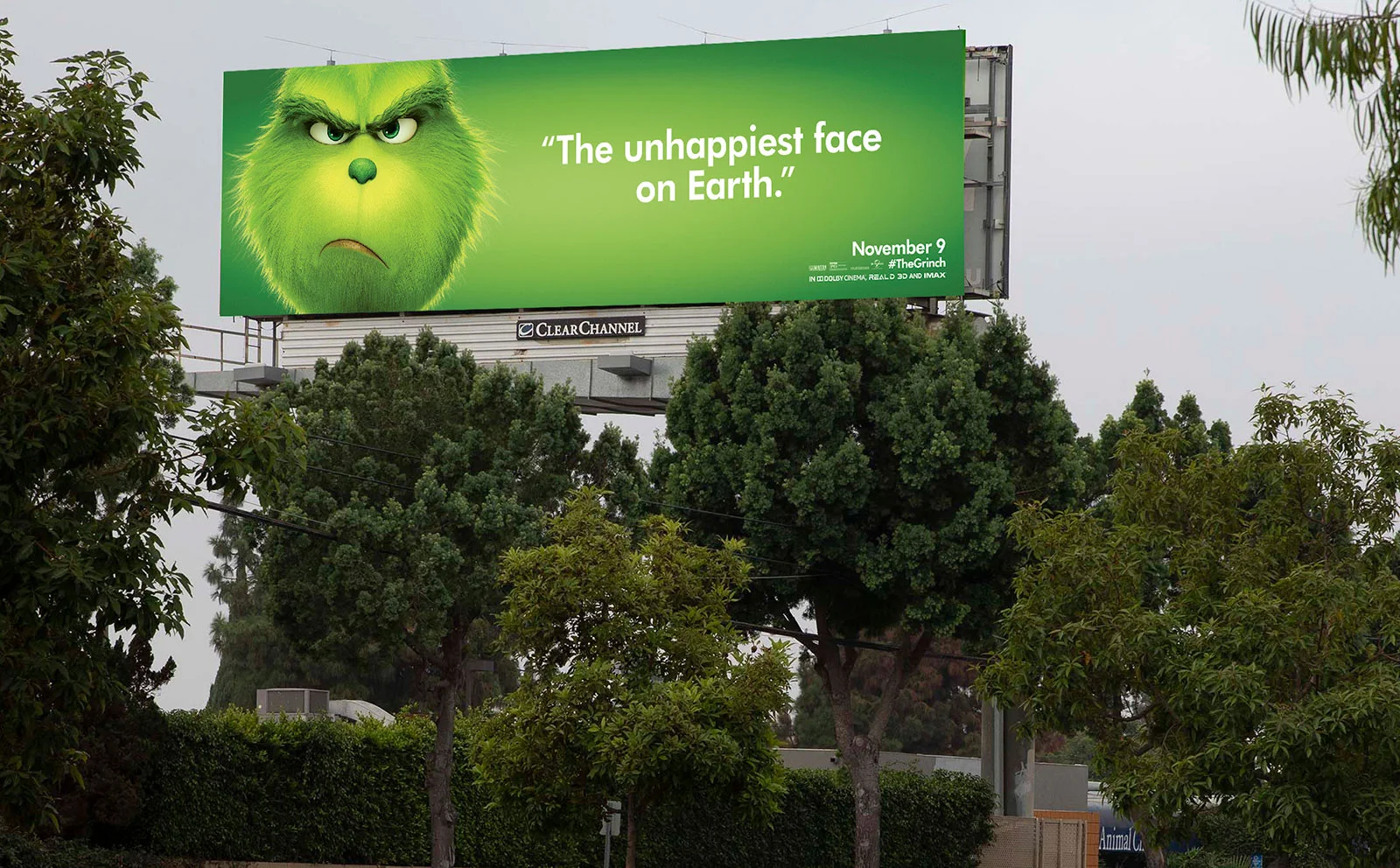 grinch-unhappiest-face_0.jpg