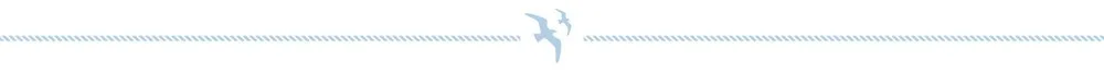 straight-gulls-blue-low.jpg