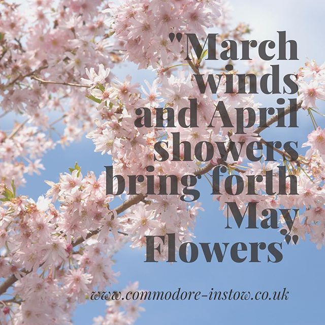Hello May! 
Book a blissful break at the @commodorehotelinstow and choose from bed and breakfast only or dinner, bed and breakfast rates. 
The Summer menu is launching this month in the @strandfieldgrillinstow so it is the perfect time to wine, dine 