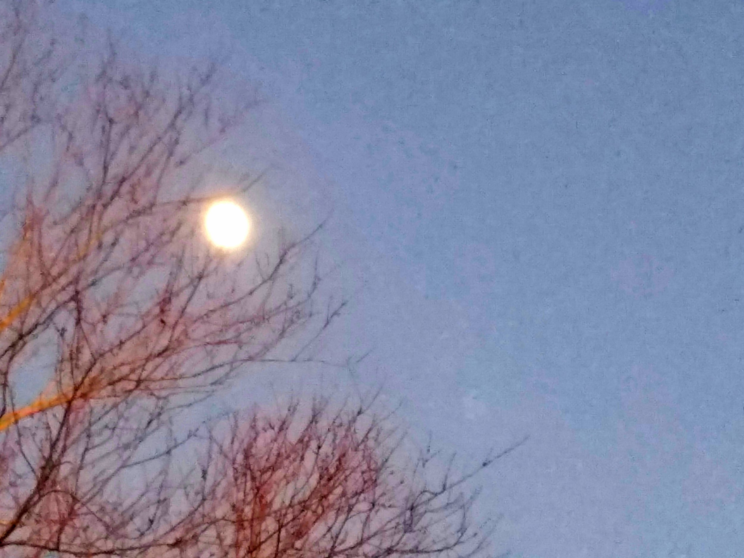 20161221_081513.jpg