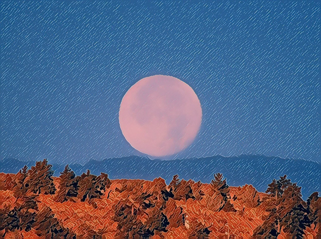 Howling With the Coyotes