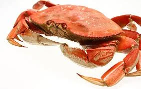 A Crab
