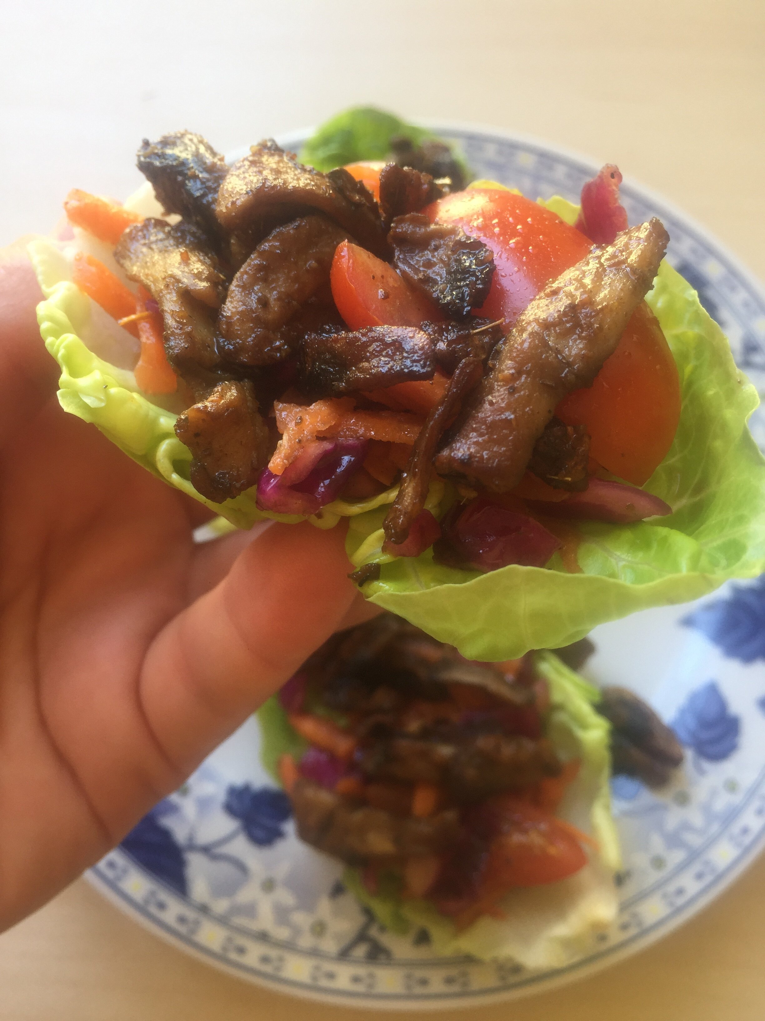 Mushroom Stuffed Lettuce Wraps