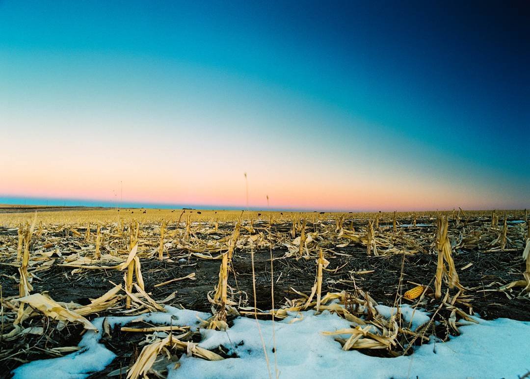 This shot was inspired by @alexburkephoto's enchanting photos of the plains. If you haven't checked his work out yet, I would highly recommend changing that.
Pentax 645nII
Kodak ektar 100
Sirui tripod &amp; ball head