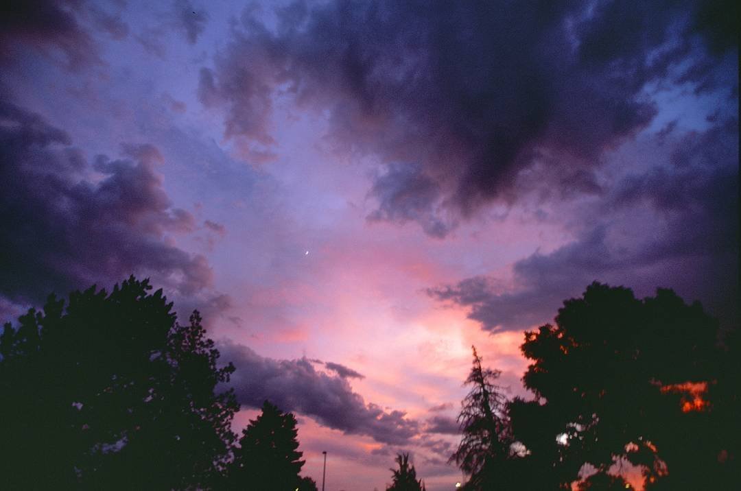 I've always been the person looking up while everyone else is distracted. 
Canon Eos-3
Fuji Velvia 50
#onfilm