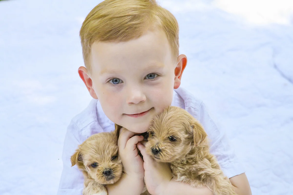 Stock Images for Small Business near Parsons Kansas