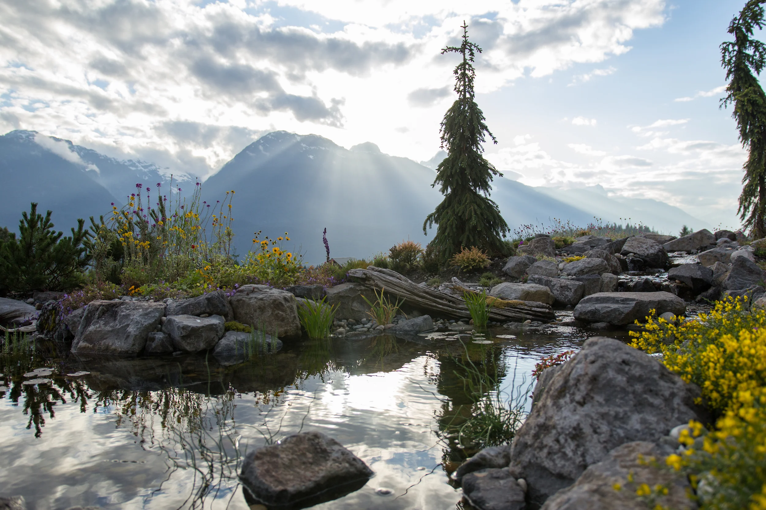 Create Paradise Right Outside your Door