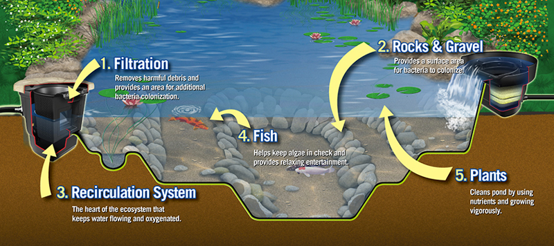 Landscaping Ideas Fallingwater Scapes Landscape Design
