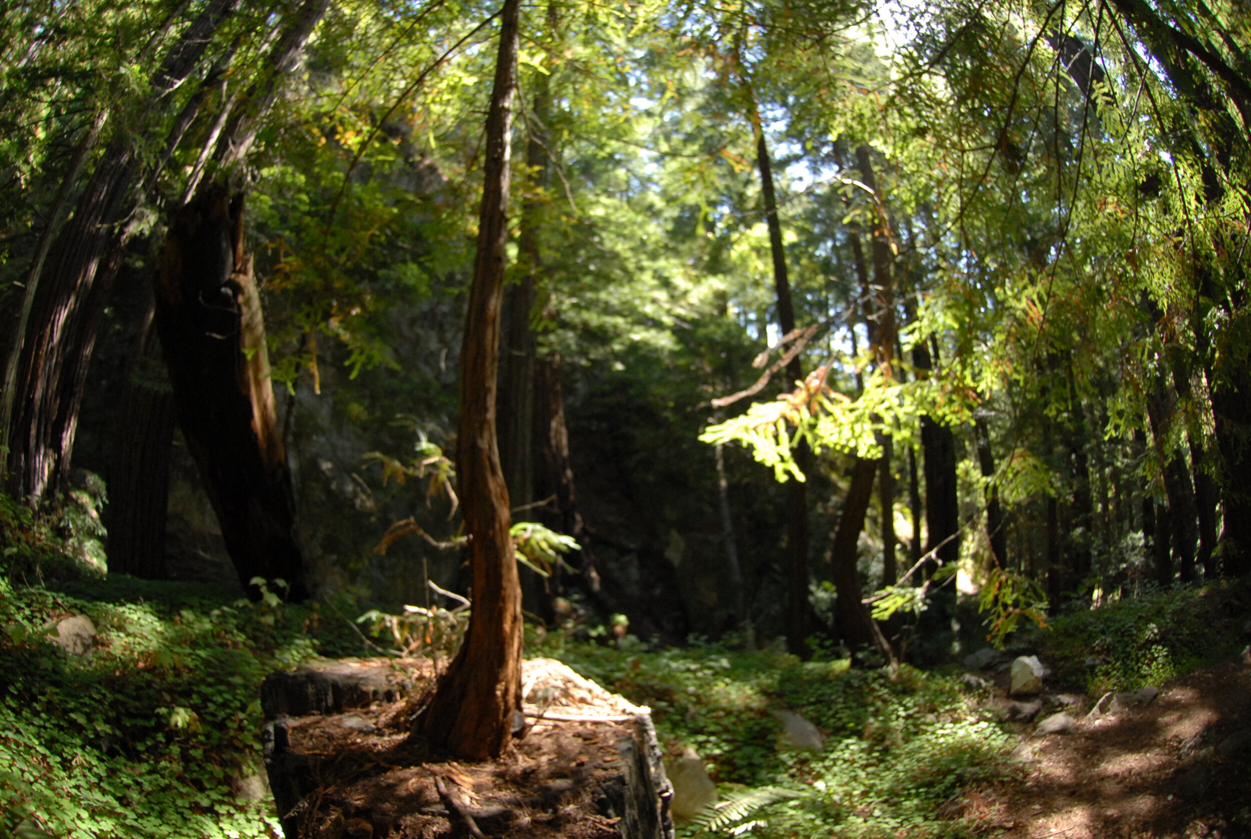 DSC_0239.JPG