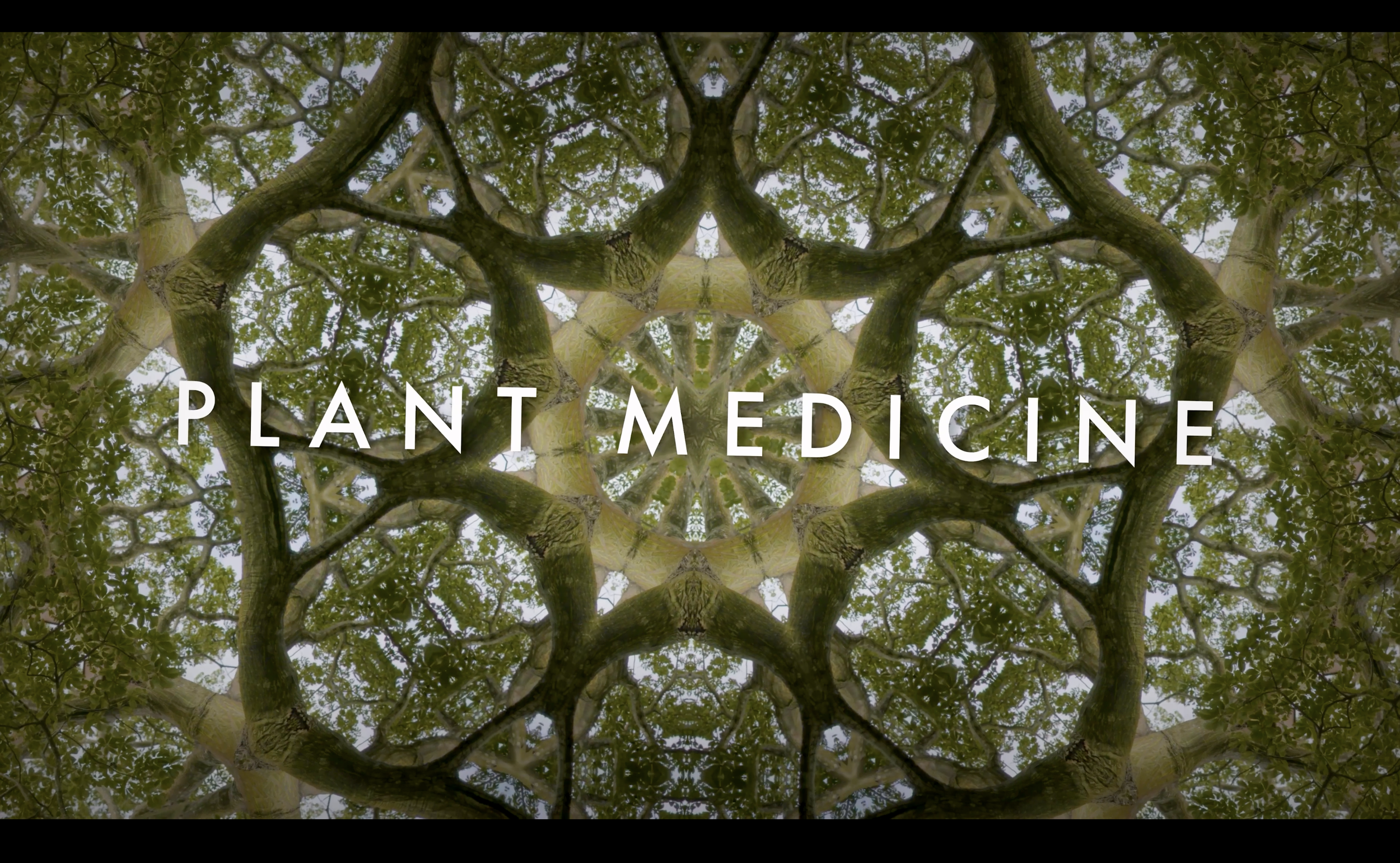 Plant Medicine Trailer (Long)