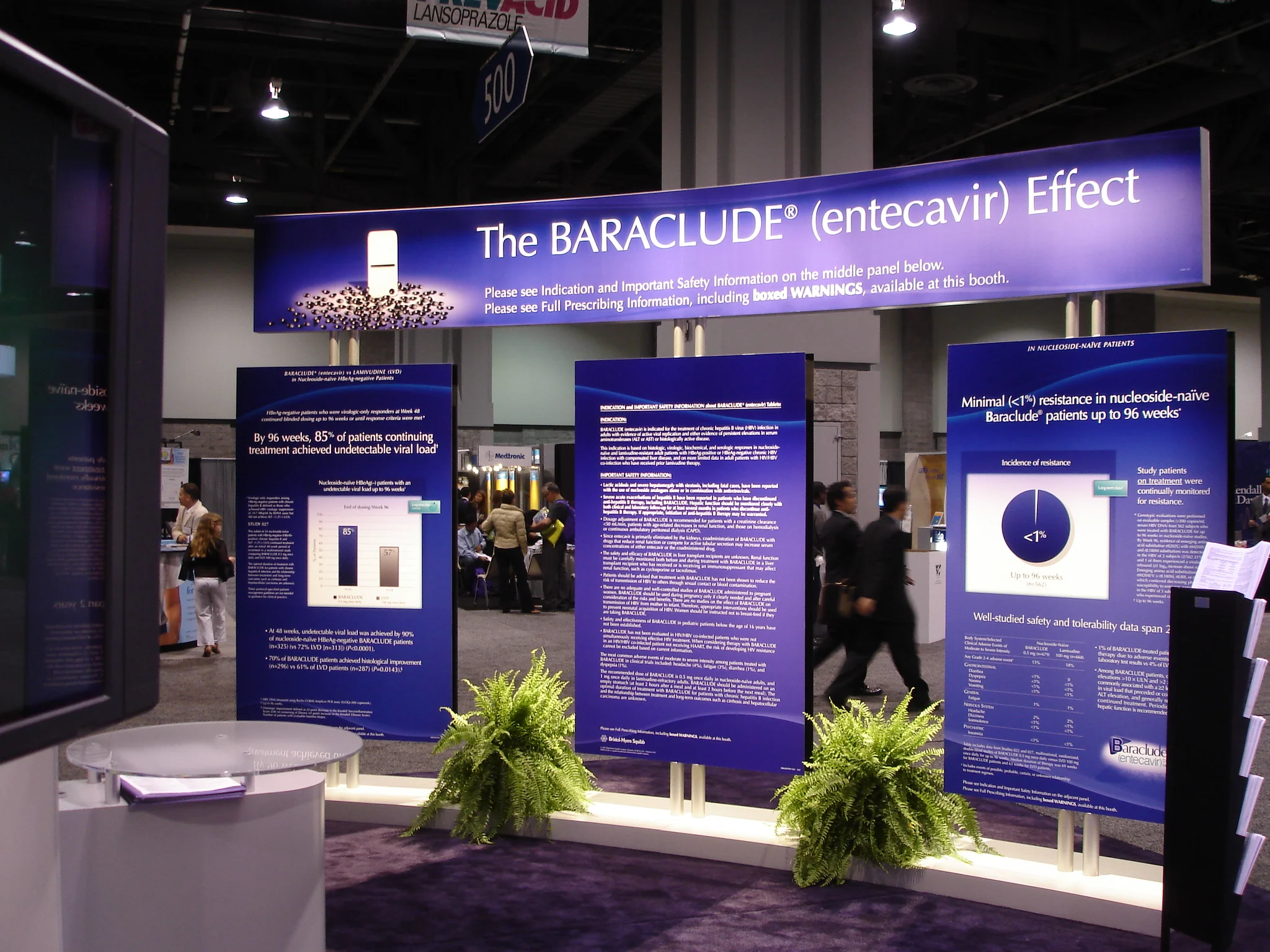 Baraclude DDW Convention booth