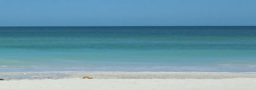 BEACH.jpg