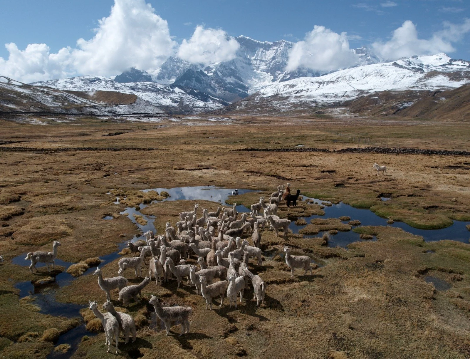Loss Aversion in the Face of Climate Change