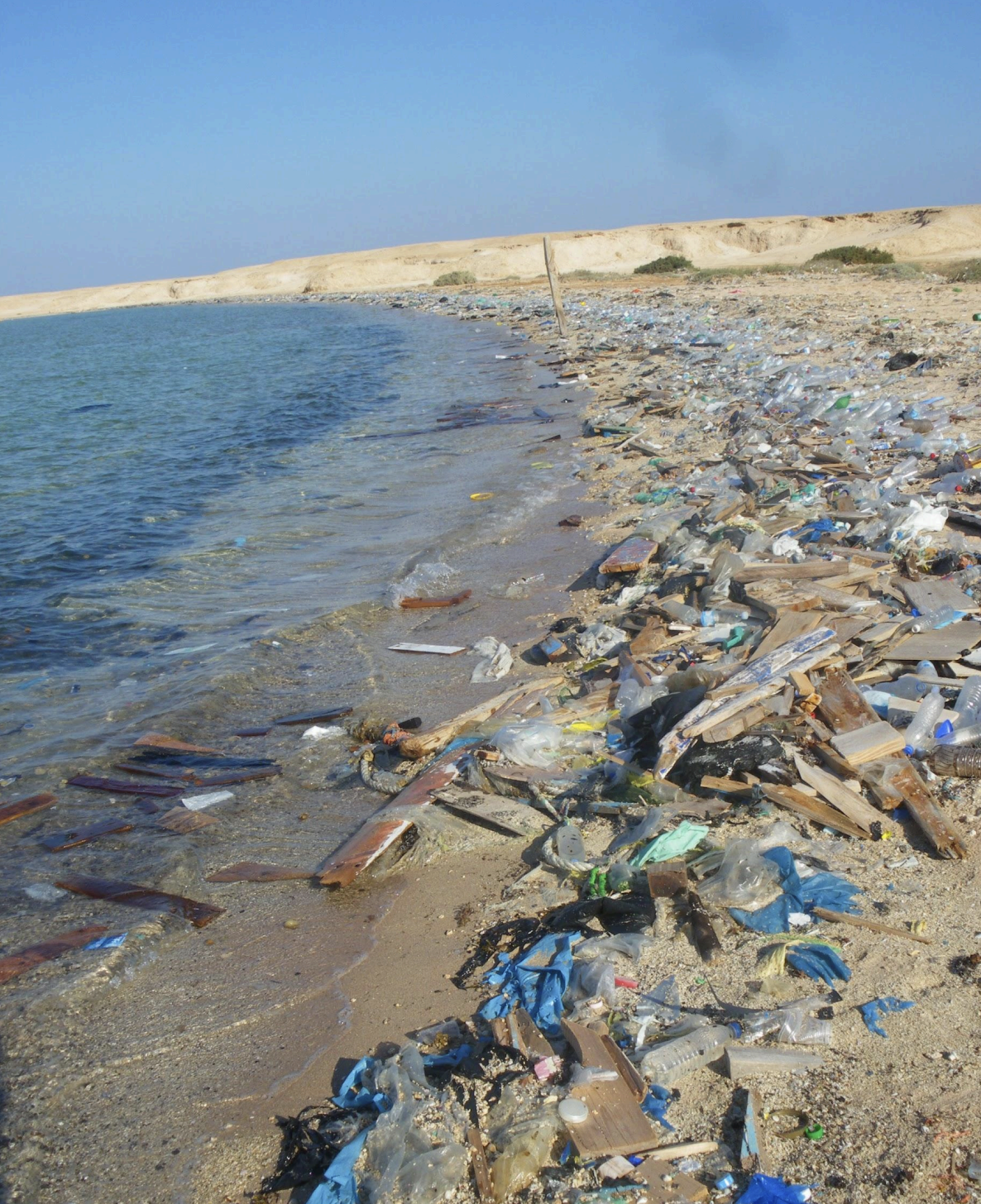 Beachcombers of the Invisible Ocean