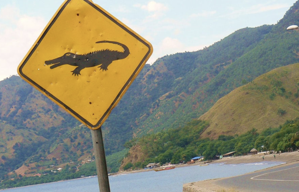 When the Threat Is Sacred: Understanding Crocodile Risk in Timor-Leste