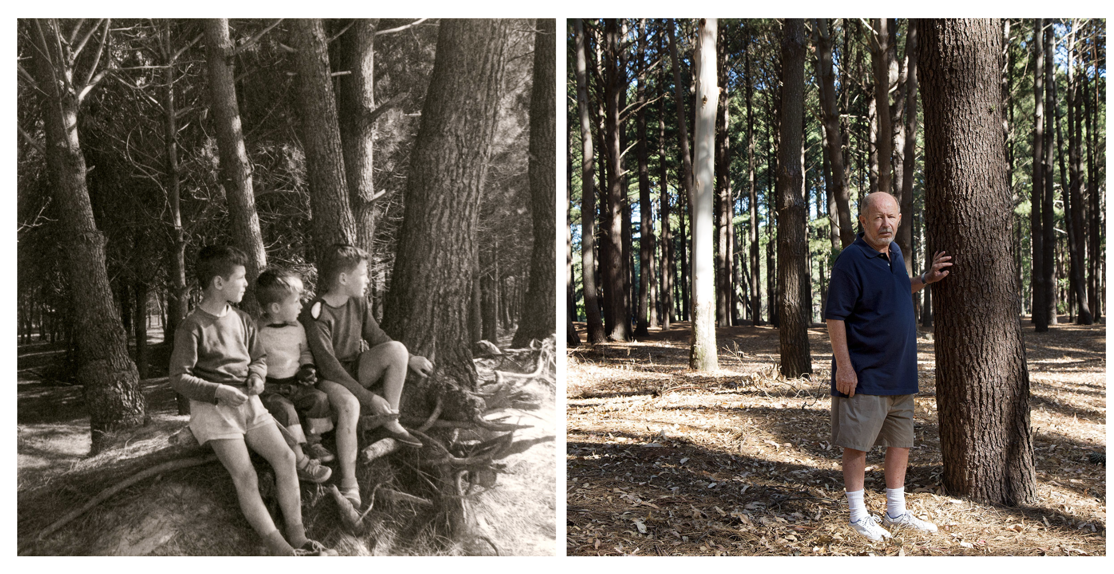 Visualizing absence: Fostering compassion through photography — The ...