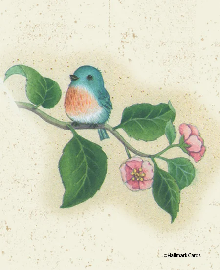 LITTLE BLUEBIRD.jpg