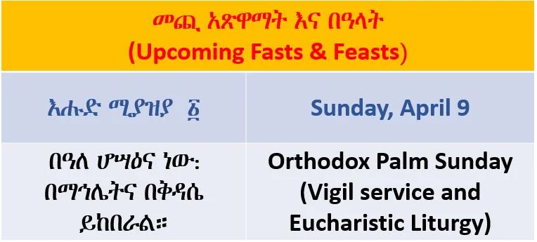 https://youtu.be/cLD-wJBHuaI | https://youtu.be/hzm6mtz7cgc | https://youtu.be/XB5XH2TygR4 Palm Sunday is one of the Major Feasts of our Lord, and it is the day on which the Lord Jesus Christ entered Jerusalem as a King, riding on a donkey and a colt, the foal of a donkey. Accordingly, the crowds with palm and olive branches, who joyfully chanted “Hosanna, Son of David” , greeted Him. “Hosanna” is an Aramaic word meaning “save us”. At the time, the Jews expected an earthly king to come and save them from the Roman occupation, and thought that the Lord Jesus was the Messiah of their expectations. When they realized that this was not His intention, and that He had come to save them from the bondage of Satan, they cried out to Pilate saying “Crucify Him, Crucify Him! His blood be on us and our children.” Zechariah the Prophet prophesized about this great event saying: “Rejoice greatly, O daughter of Zion! Shout, O daughter of Jerusalem! Behold, your King is coming to you; He is just and having salvation, lowly and riding on a donkey and a colt, the foal of a donkey.” On this day also, the Lord Christ entered the Temple, driving away the merchants and overturning the tables of the money-changers. This was clearly a sign of His anger towards using religion as a means of trade. He also overturned the seats of those who sold doves, casting them out of the Temple. Again, this was also a clear sign of His disapproval towards selling and devaluing the gifts of the Holy Spirit, since the doves symbolize the gifts of the Holy Spirit. As for the Lord’s anger and the whip of cords He used, they foretold of the severity of how Satan and his followers who refused Christ as Lord and God would be judged on Judgment Day.