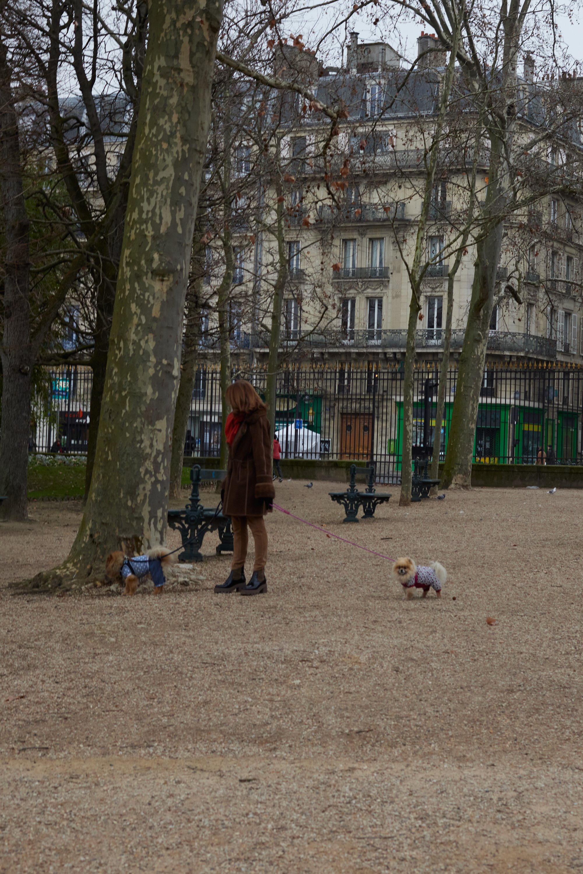 Paris_2022_0326_dogs_562A6136.jpg