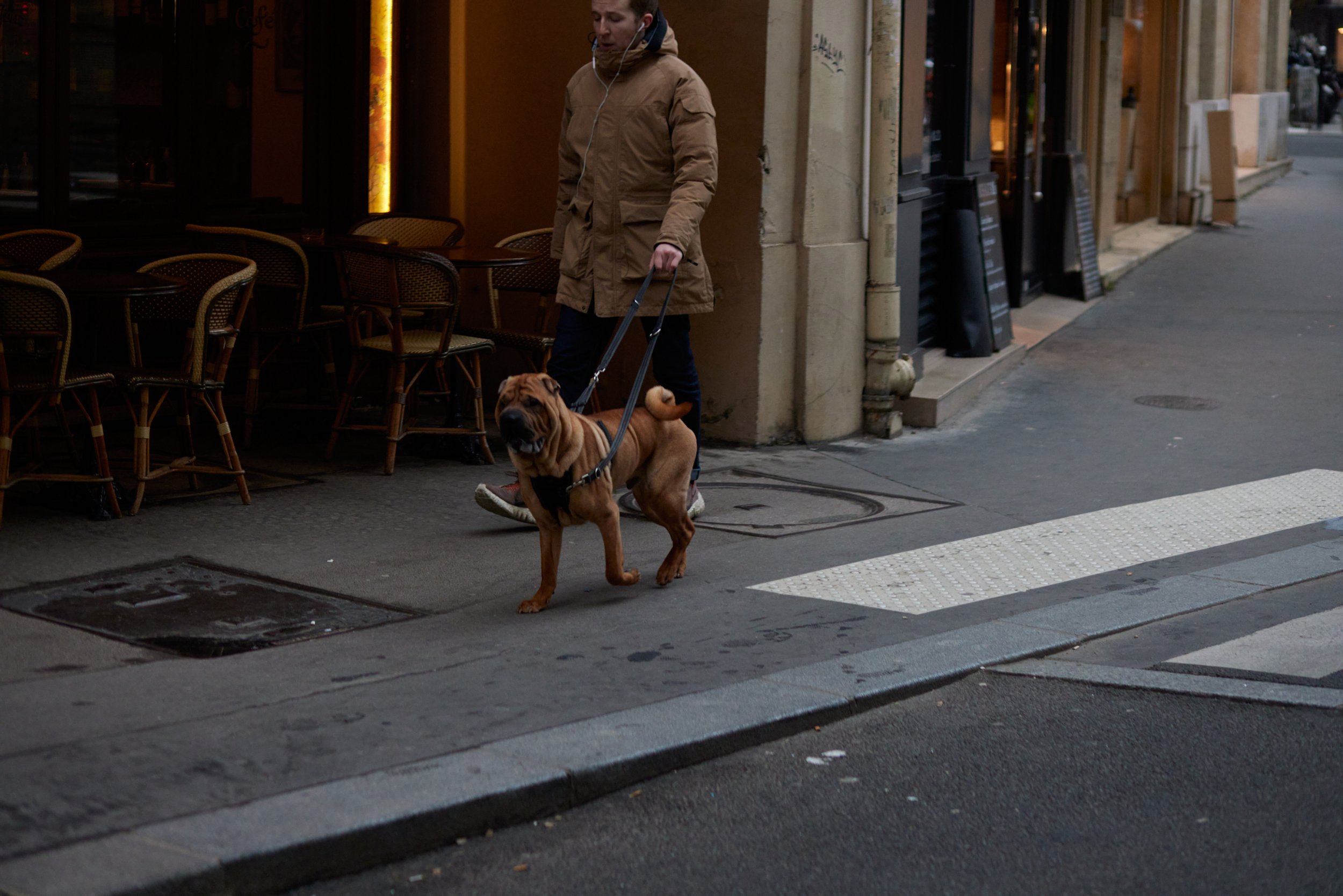 Paris_2022_0340_dogs_562A6457.jpg