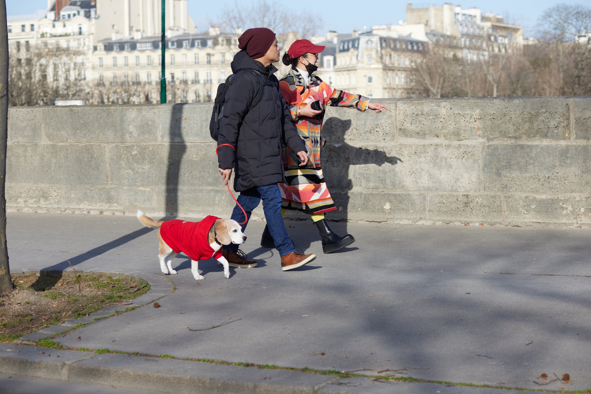 Paris_2022_0358_dogs_562A6737.jpg