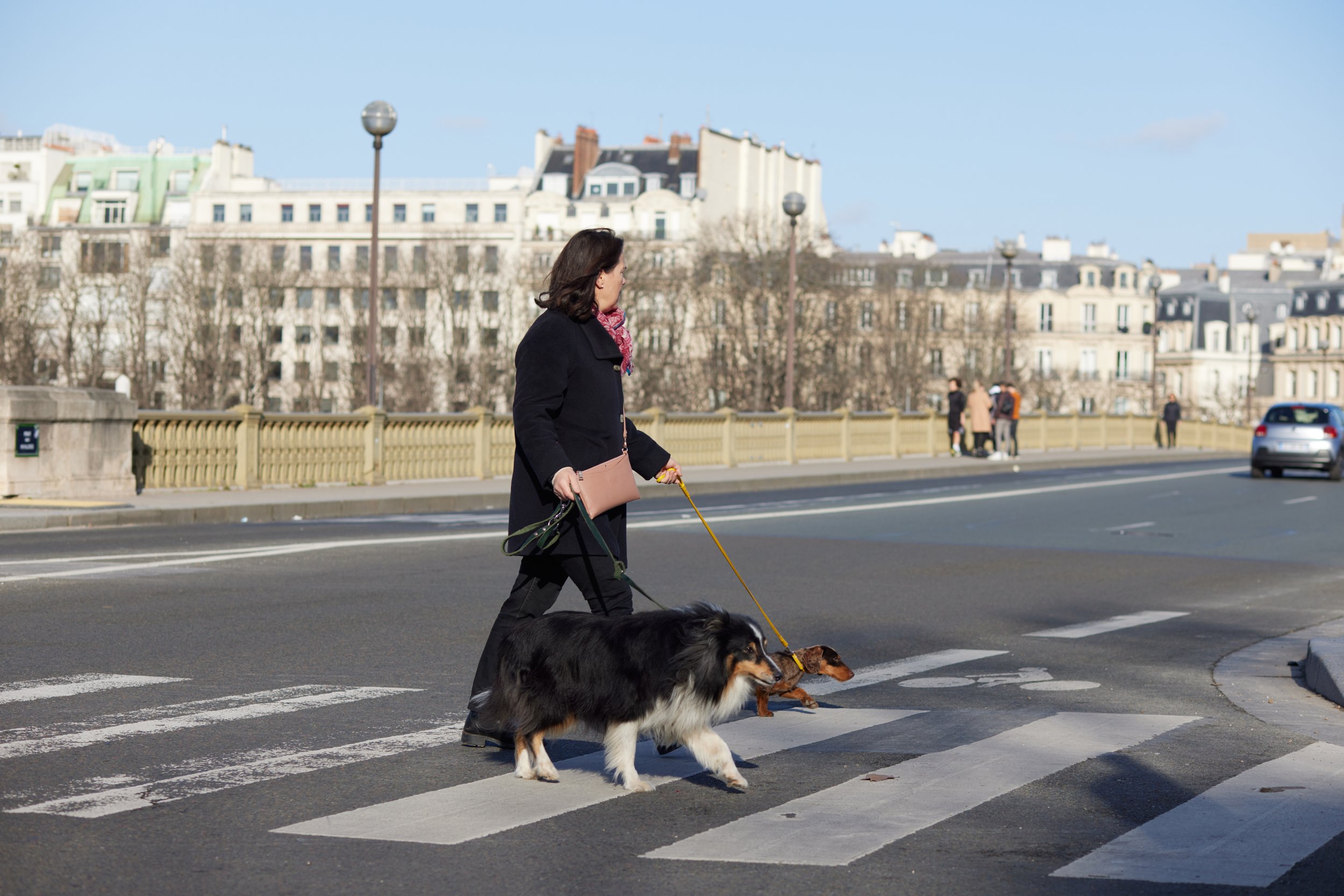 Paris_2022_0359_dogs_562A6738.jpg